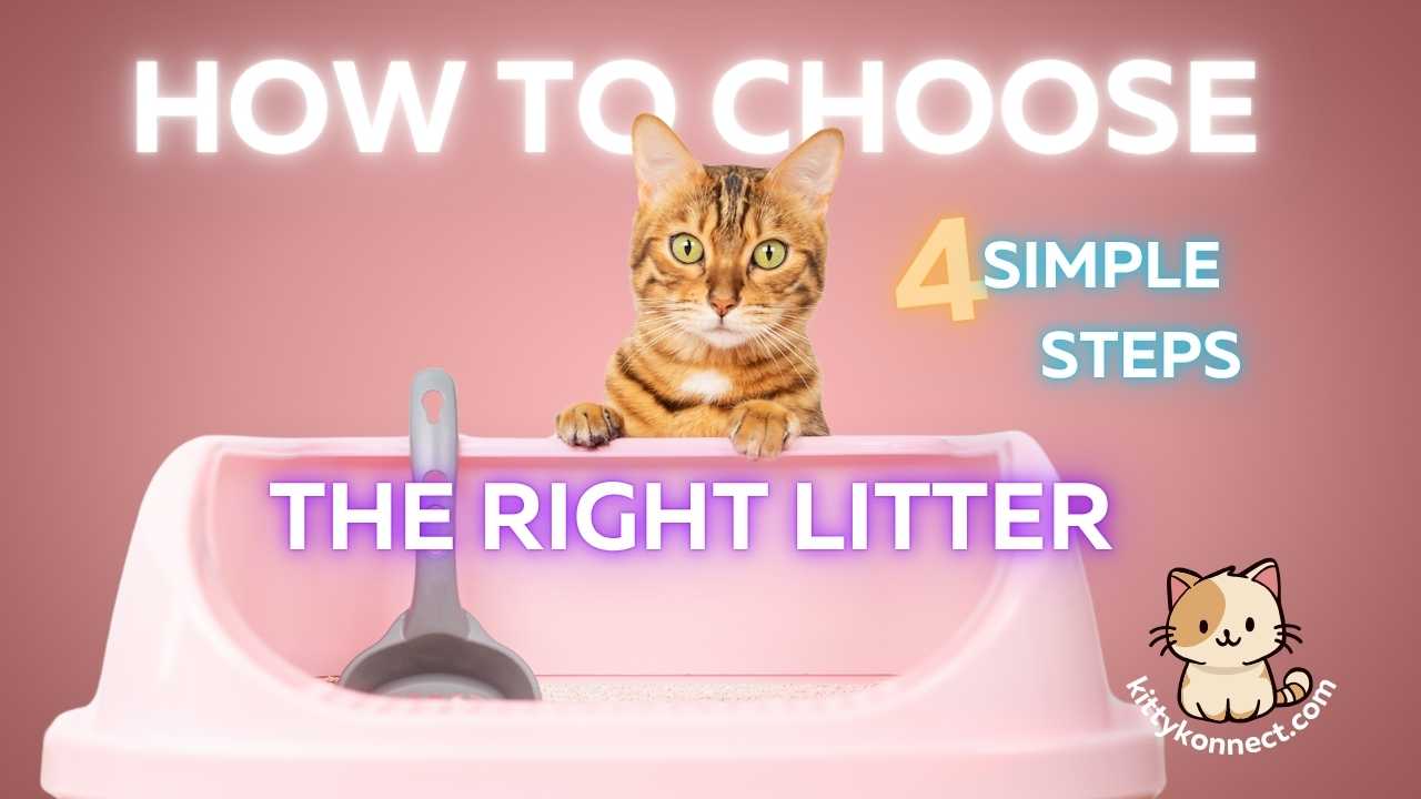 How_To_Choose_The_Right_Litter_Without_Losing_Your_Mind_or_Your_Cats_Trust