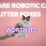 Are_Robotic_Cat_Litter_Boxes