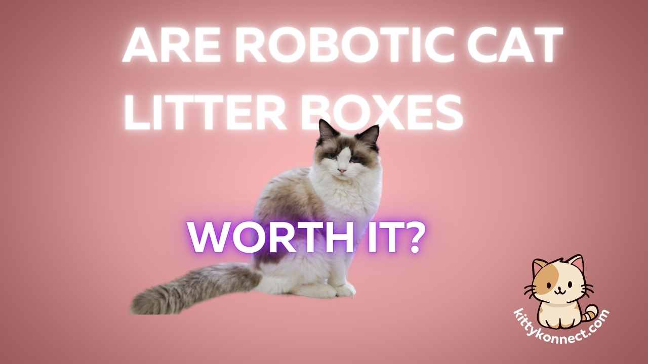 Are_Robotic_Cat_Litter_Boxes