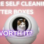 Are_Self_Cleaning_Litter_Boxes_Worth_It