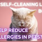 Can_Self-Cleaning_Litter_Boxes_Help_Reduce_Allergies_In_Pets