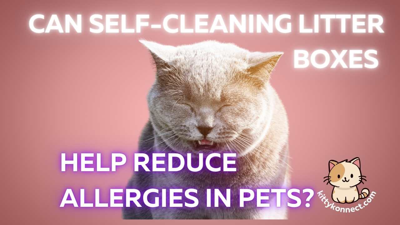 Can Self-Cleaning Litter Boxes Help Reduce Allergies In Pets?