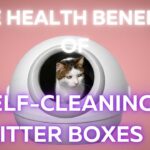 The_Health_Benefits_of_Self-Cleaning_Litter_Boxes