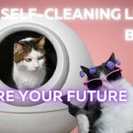 Why_Self-Cleaning_Litter_Boxes_Are_Your_Future