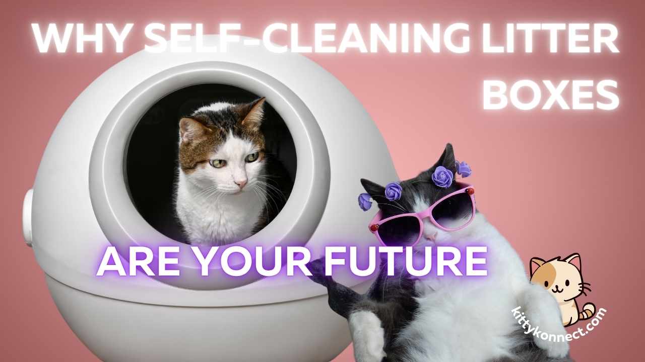 Why Self-Cleaning Litter Boxes Are Your Future