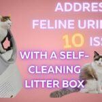 Addressing_Feline_Urinary_Issues_With_a_Self-Cleaning_Litter_Box