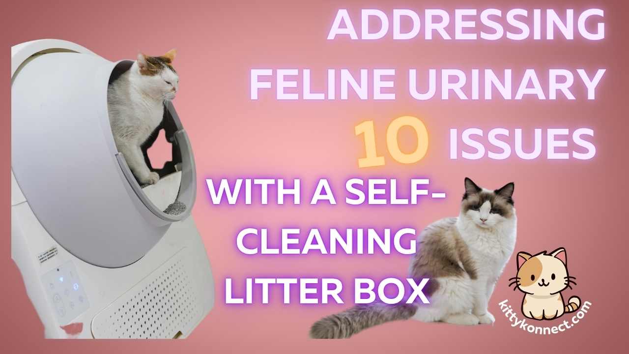 Addressing_Feline_Urinary_Issues_With_a_Self-Cleaning_Litter_Box
