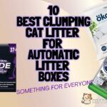 Best_Clumping_Cat_Litter_for_Automatic_Litter_Boxes