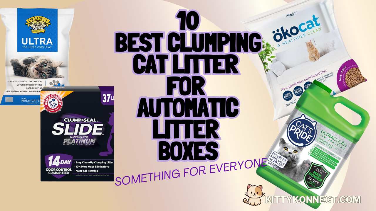 10 Best Clumping Cat Litter For Automatic Litter Boxes